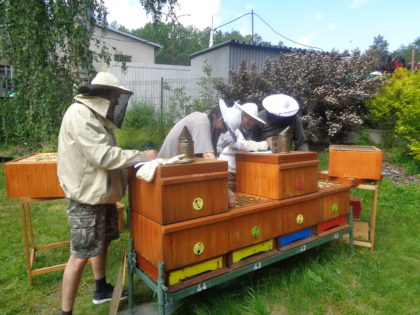 Odborný výcvik - prohlídky včelstev